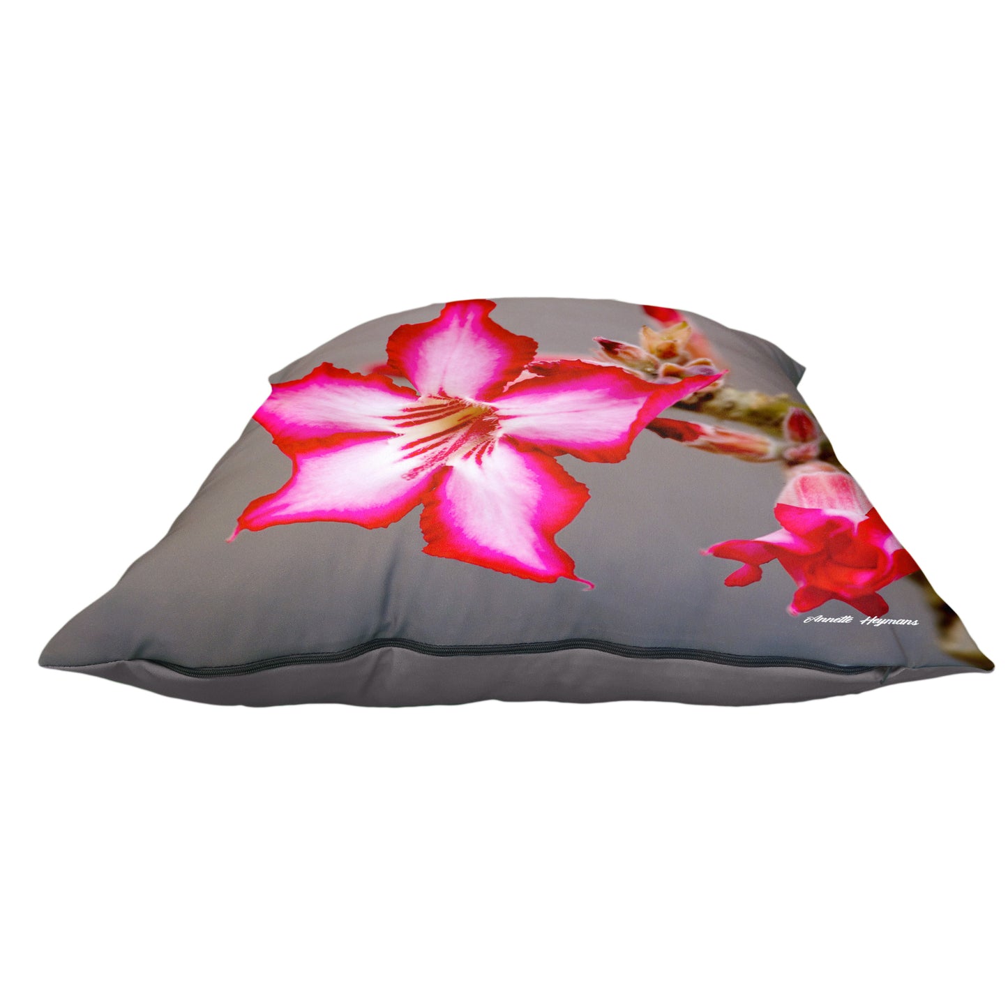 Impala Lilly Luxury Scatter by Annette Heymans