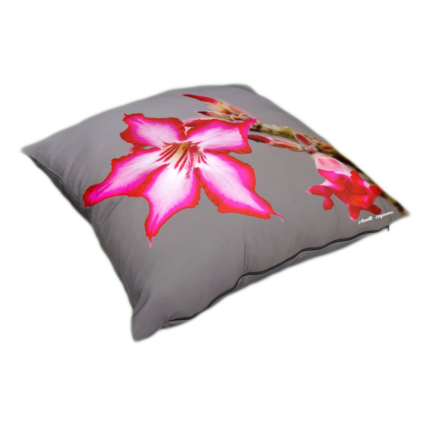 Impala Lilly Luxury Scatter by Annette Heymans