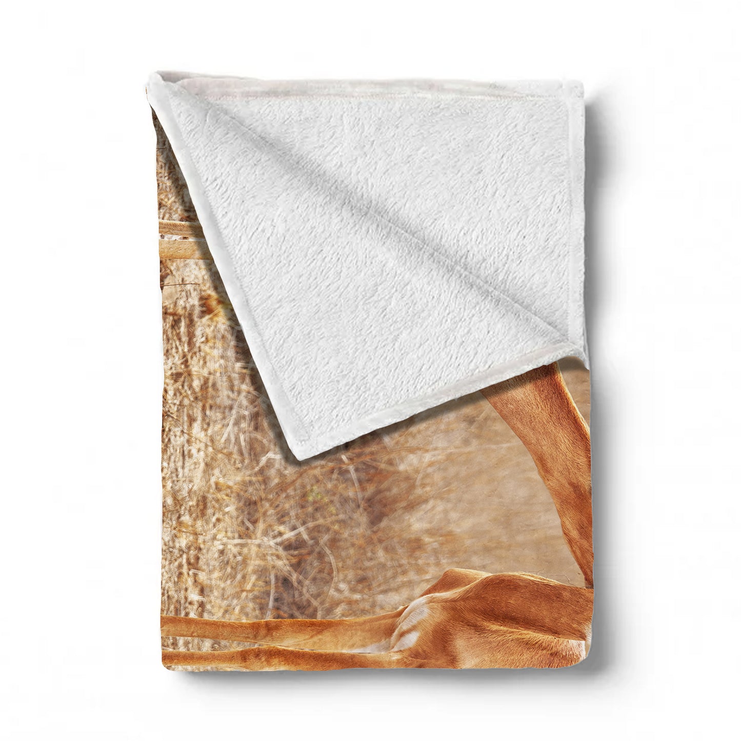 Impala Males Light Weight Fleece Blanket by Annette Heymans