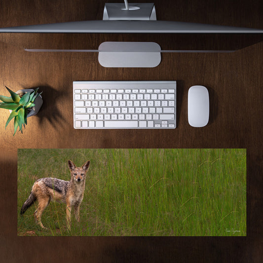 Jackal in Long Grass Large Desk Pad by Fanie Heymans