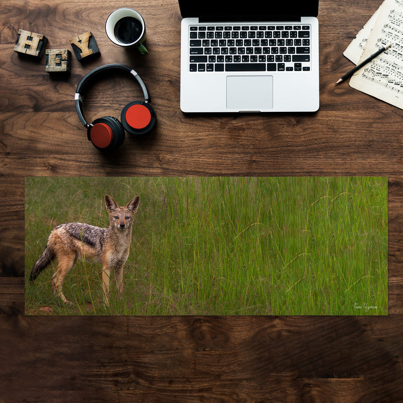 Jackal in Long Grass Desk Pad by Fanie Heymans