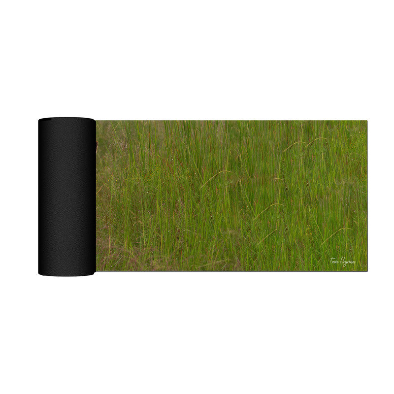 Jackal in Long Grass Desk Pad by Fanie Heymans