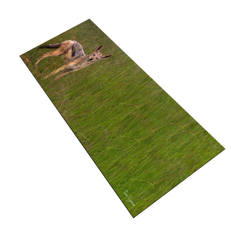 Jackal in Long Grass Desk Pad by Fanie Heymans