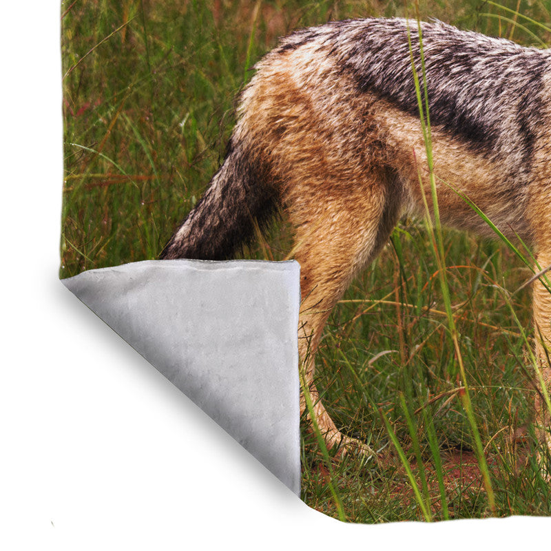 Jackal in Long Grass Light Weight Fleece by Fanie Heymans