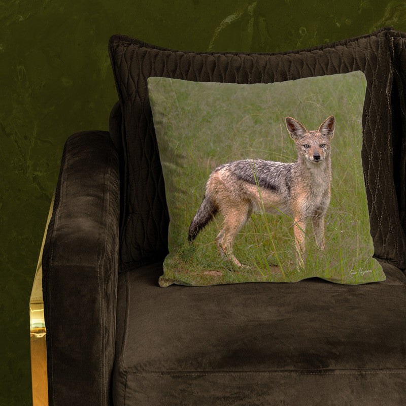 Jackal in Long Grass Luxury Scatter by Fanie Heymans