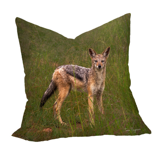 Jackal in Long Grass Luxury Scatter by Fanie Heymans