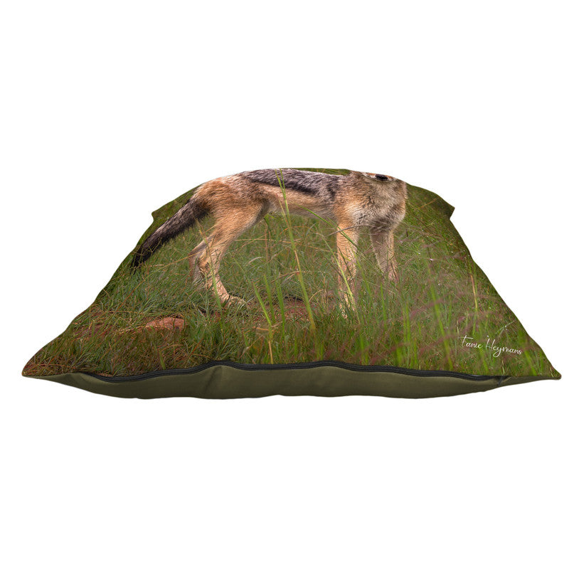 Jackal in Long Grass Luxury Scatter by Fanie Heymans