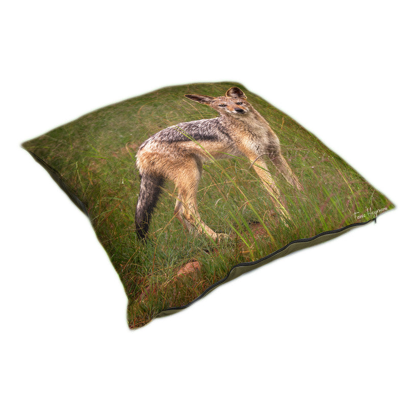 Jackal in Long Grass Luxury Scatter by Fanie Heymans