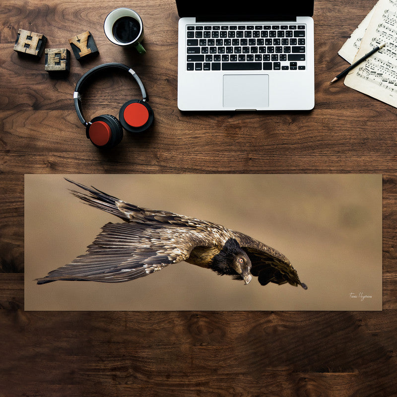 Juvenile Bearded Vulture Large Desk Pad By Fanie Heymans