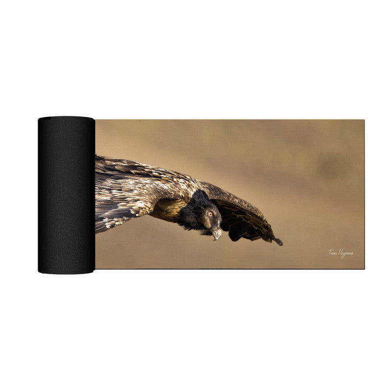 Juvenile Bearded Vulture Large Desk Pad By Fanie Heymans