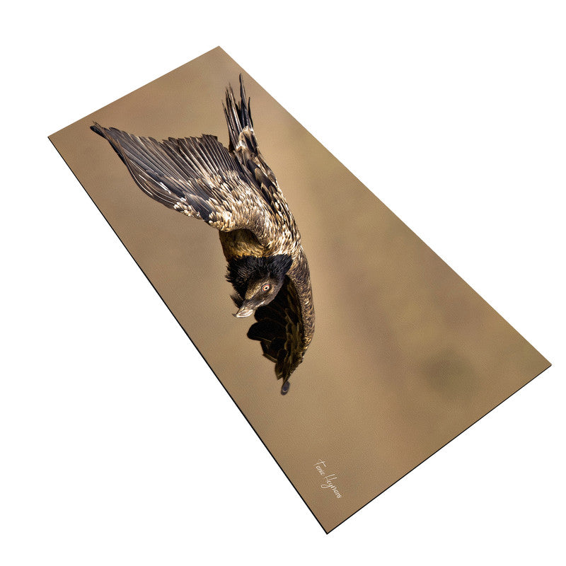 Juvenile Bearded Vulture Large Desk Pad By Fanie Heymans