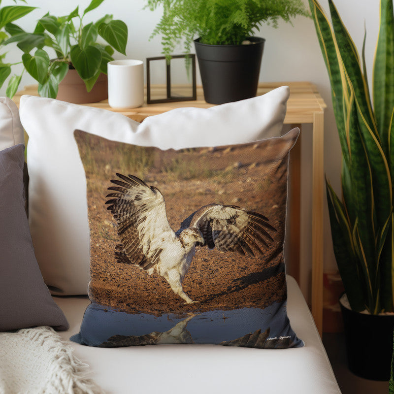 Juvenile Flying Eagle Luxury Scatter by Annette Heymans