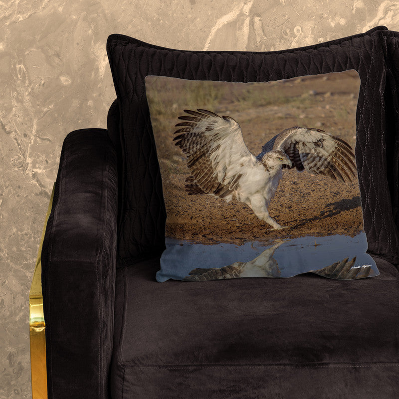 Juvenile Flying Eagle Luxury Scatter by Annette Heymans