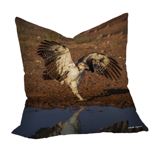 Juvenile Flying Eagle Luxury Scatter by Annette Heymans