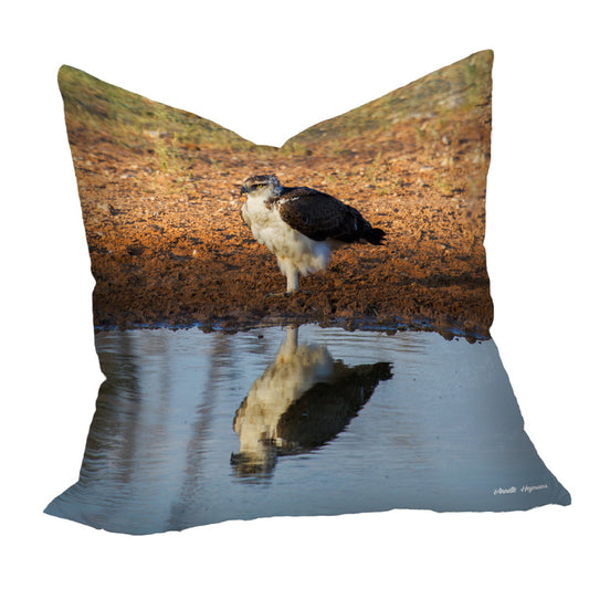 Juvenile Martial Eagle Luxury Scatter by Annette Heymans