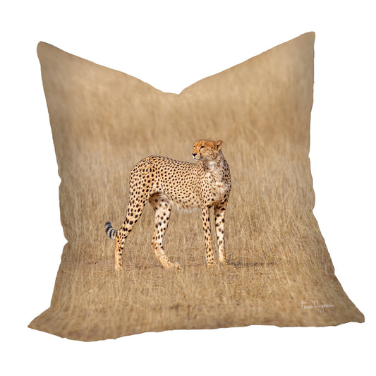 Kalahari Cheetah Luxury Scatter by Fanie Heymans