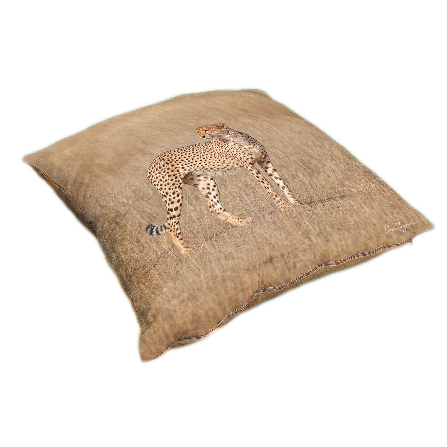 Kalahari Cheetah Luxury Scatter by Fanie Heymans