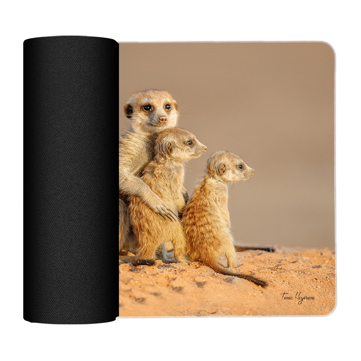 Kalahari Meerkat Placemats by Fanie Heymans