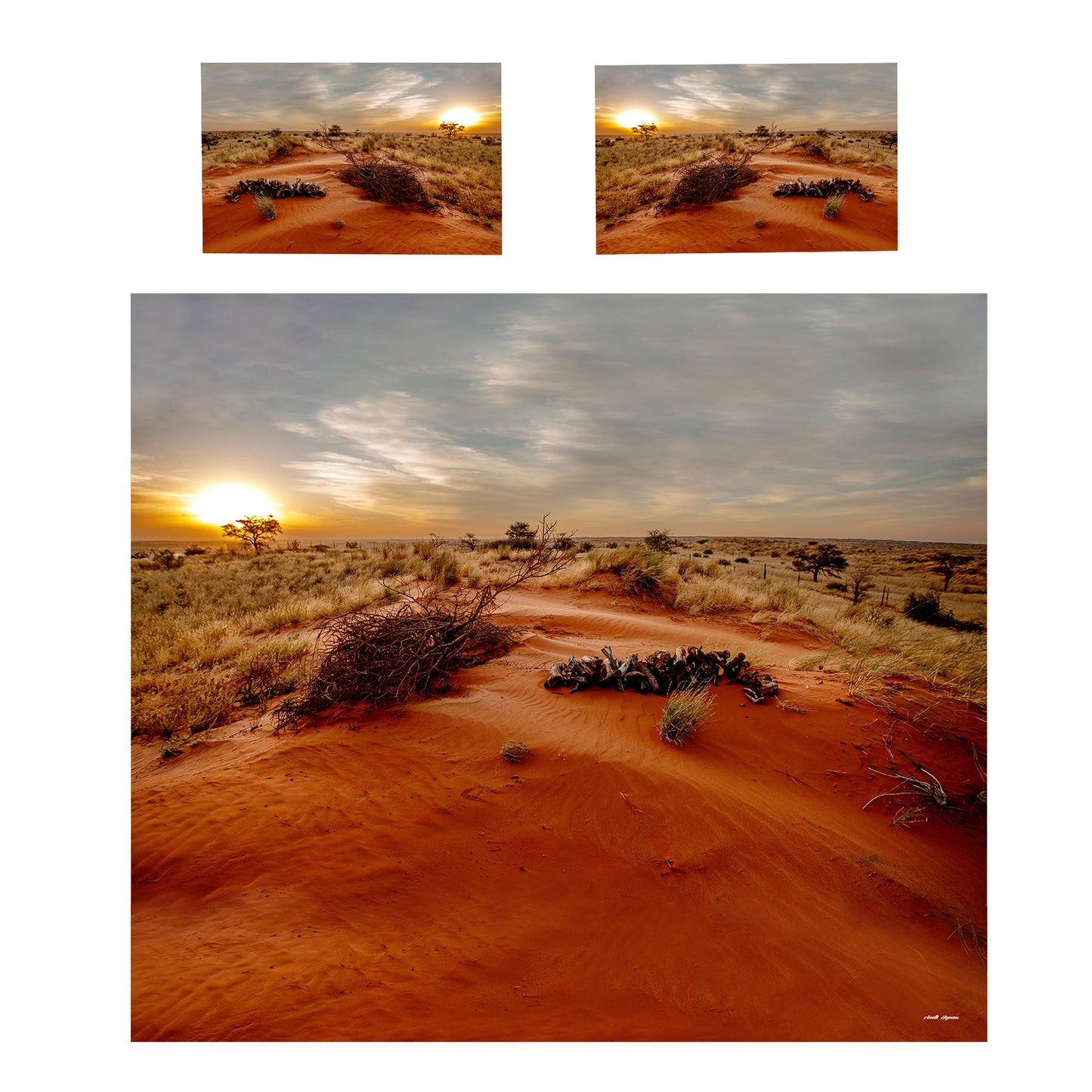 Kalahari Sunset Duvet Cover Set by Annette Heymans