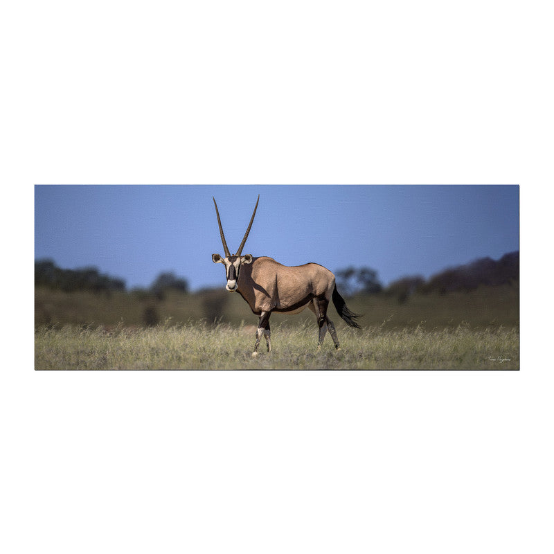 Kgalagadi Gemsbok Large Desk Pad by Fanie Heymans