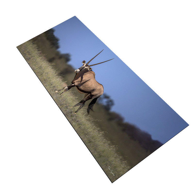 Kgalagadi Gemsbok Large Desk Pad by Fanie Heymans
