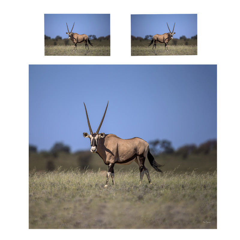 Kgalagadi Gemsbok Duvet Cover Set by Fanie Heymans