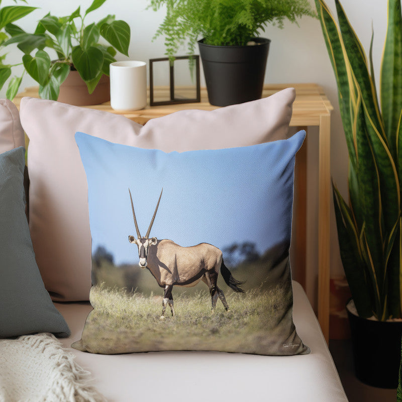 Kgalagadi Gemsbok Luxury Scatter by Fanie Heymans