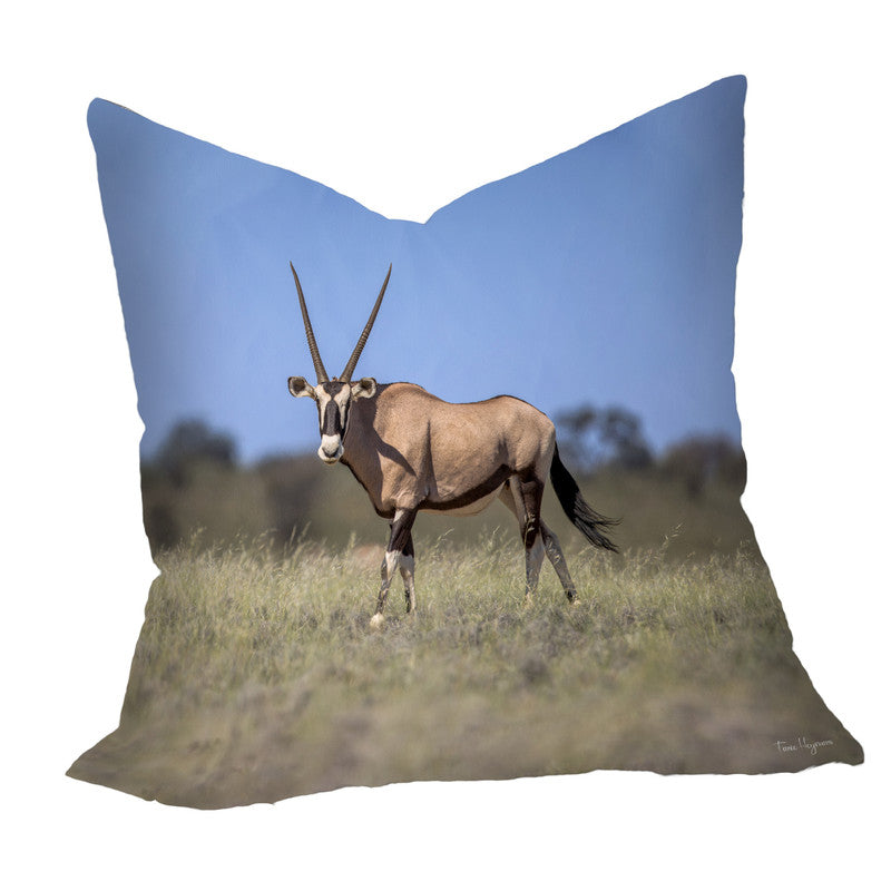 Kgalagadi Gemsbok Luxury Scatter by Fanie Heymans
