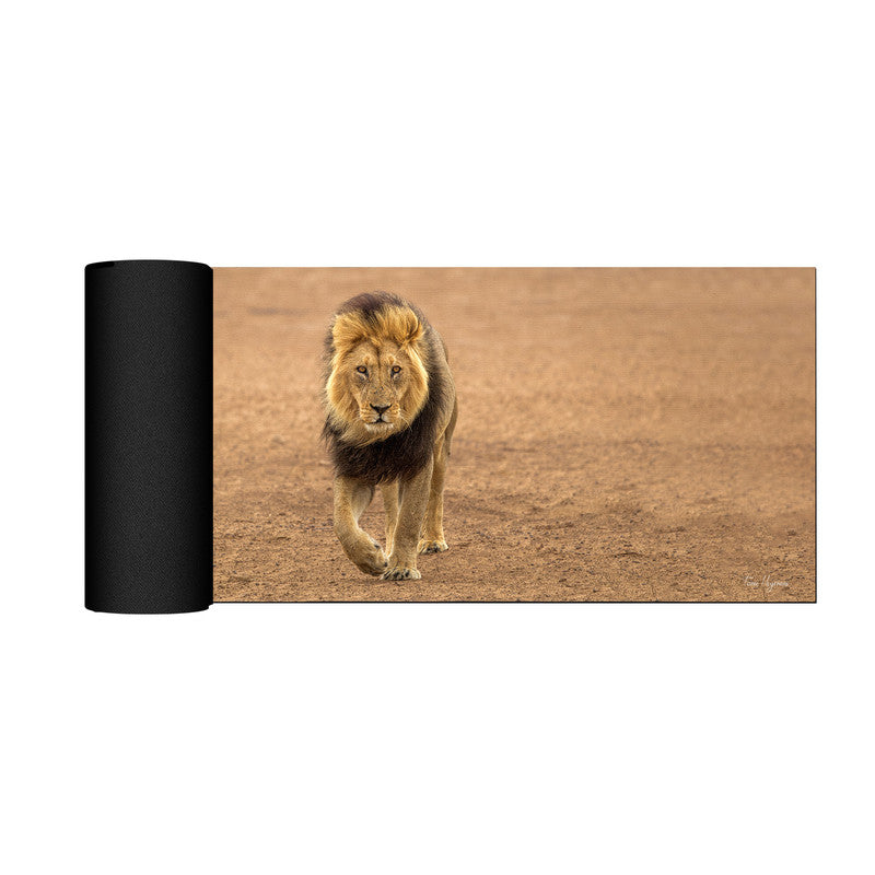 Kgalagadi Male Lion Desk Pad by Fanie Heymans
