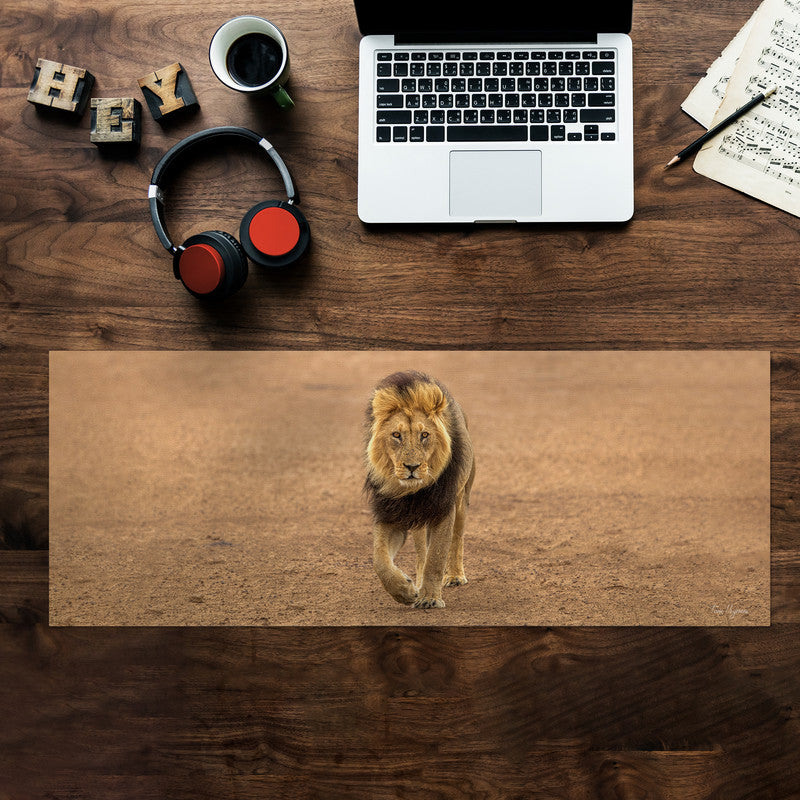 Kgalagadi Male Lion Desk Pad by Fanie Heymans