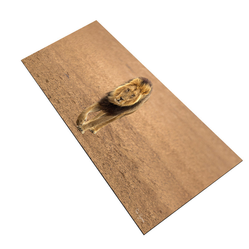 Kgalagadi Male Lion Large Desk Pad by Fanie Heymans