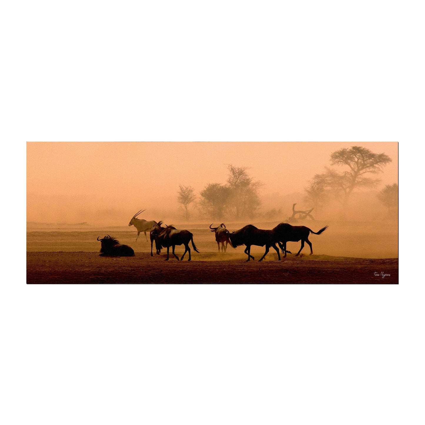 Kgalagadi Landscape Desert Storm Desk Pad by Fanie Heymans