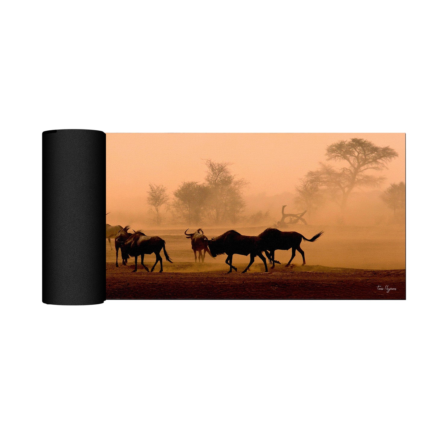 Kgalagadi Landscape Desert Storm Desk Pad by Fanie Heymans