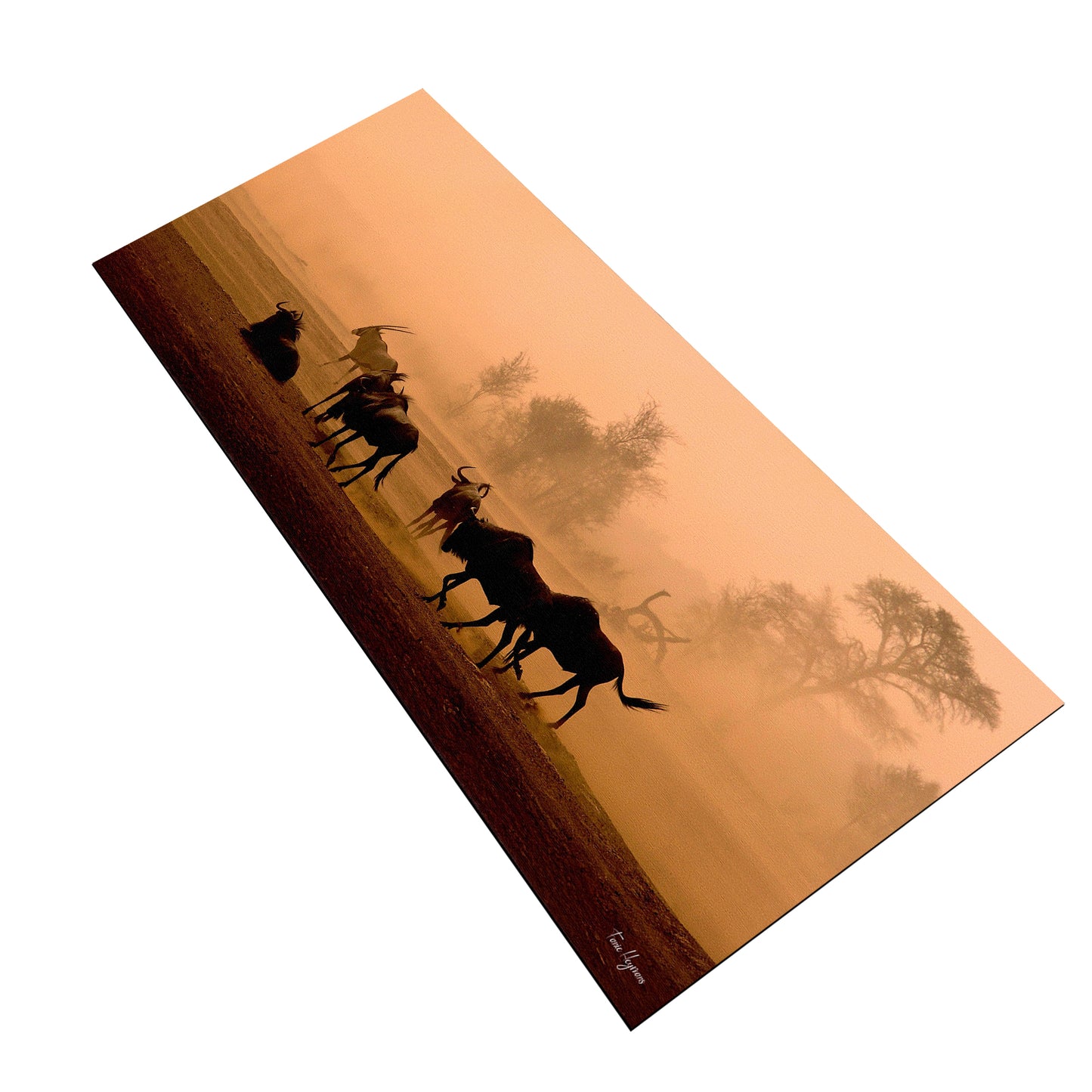 Kgalagadi Landscape Desert Storm Desk Pad by Fanie Heymans