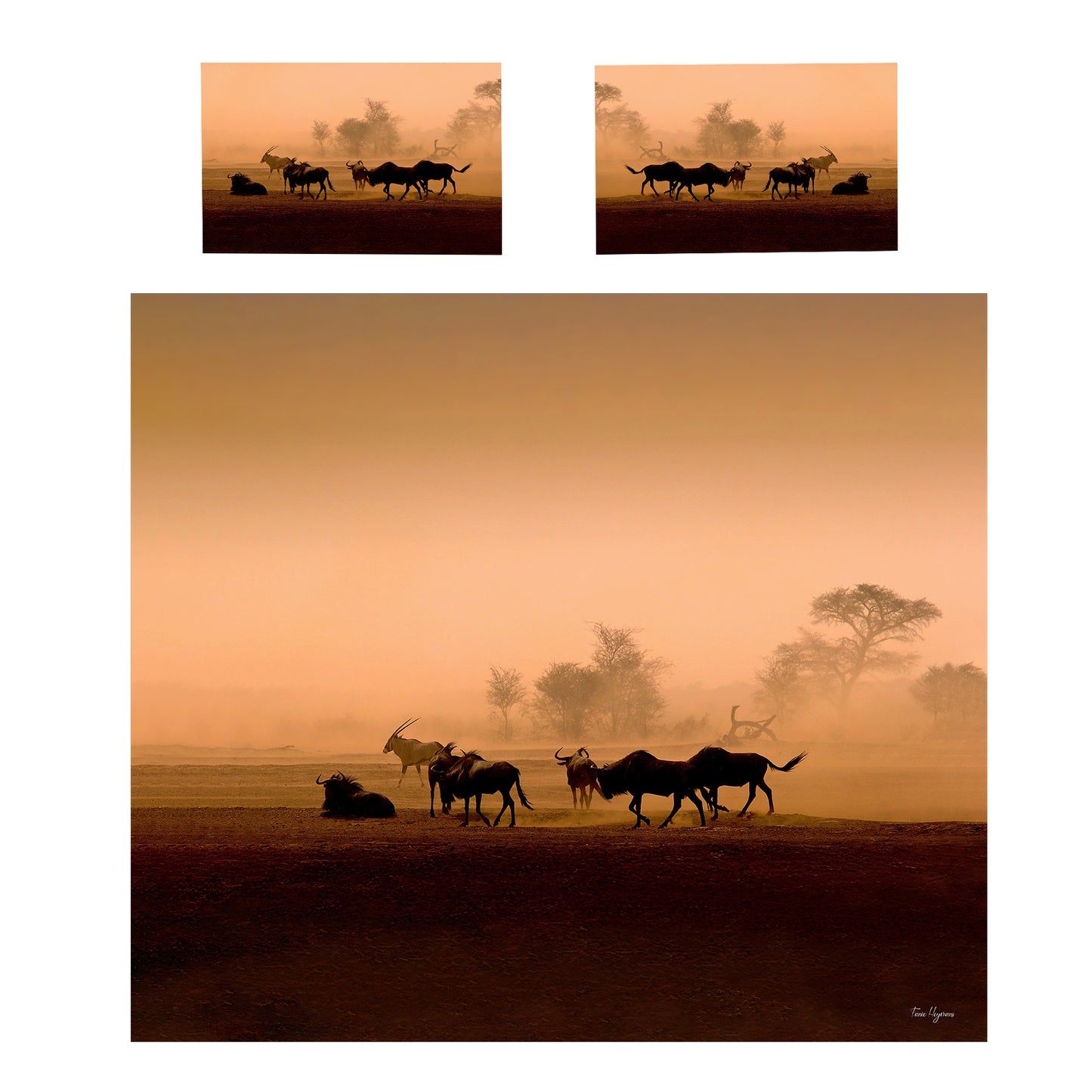 Kgalagadi Landscape Desert Storm Duvet Cover Set by Fanie Heymans