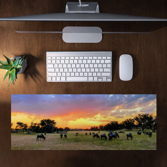 Kgalagadi Landscape Rain Storm Desk Pad by Fanie Heymans