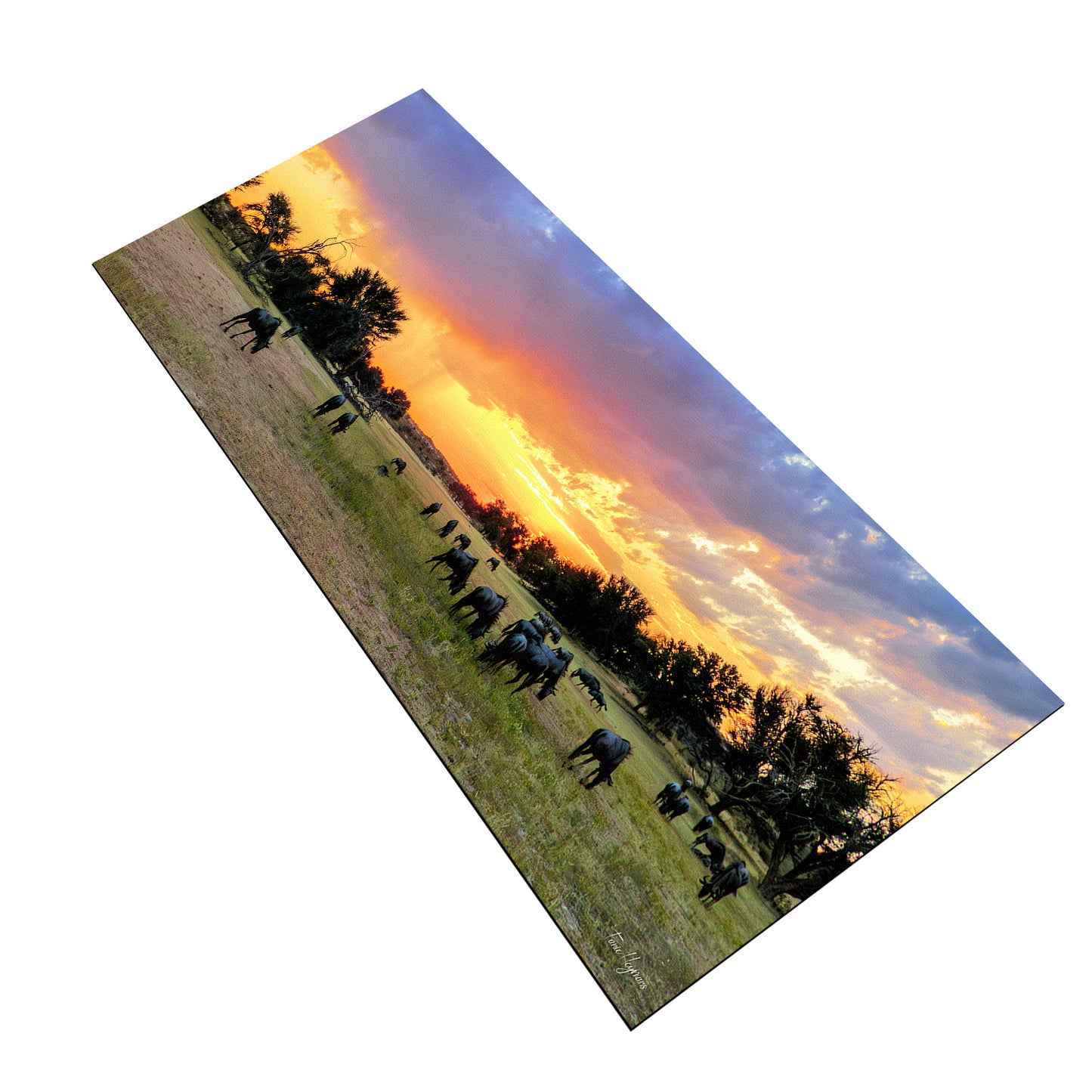 Kgalagadi Landscape Rain Storm Desk Pad by Fanie Heymans