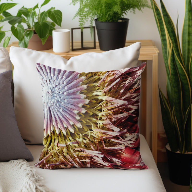 King Protea Luxury Scatter By Annette Heymans