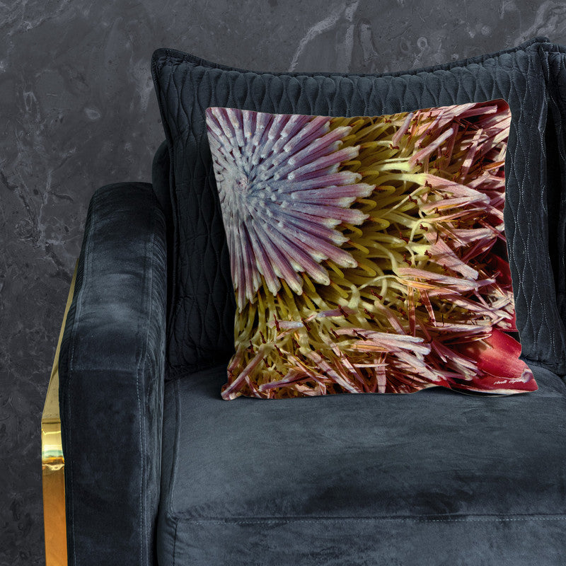 King Protea Luxury Scatter By Annette Heymans
