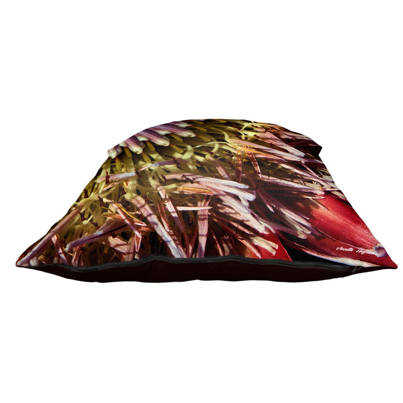 King Protea Luxury Scatter By Annette Heymans