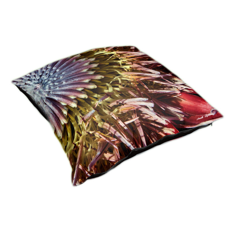 King Protea Luxury Scatter By Annette Heymans