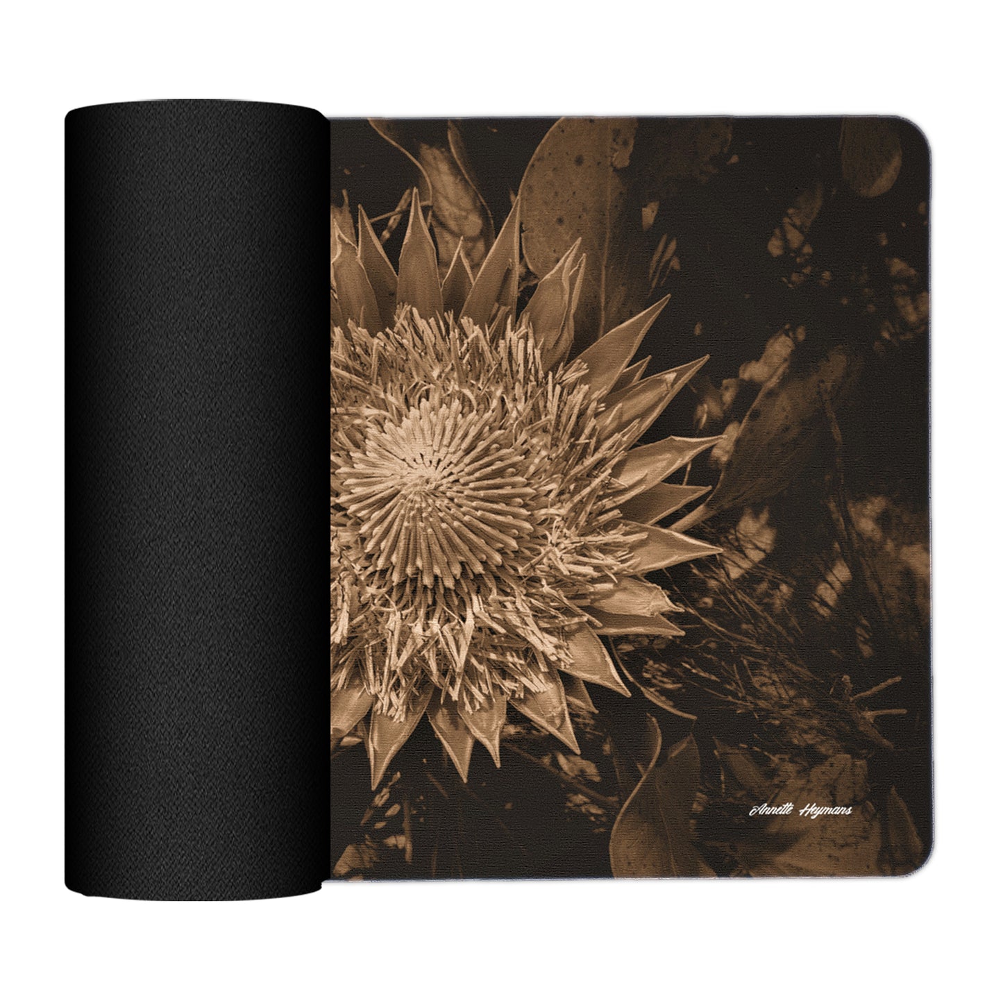 King Protea Sepia Placemats by Annette Heymans