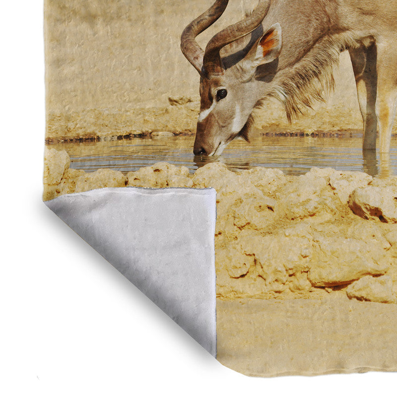 Kudu Bull Light Weight Fleece Blanket By Annette Heymans