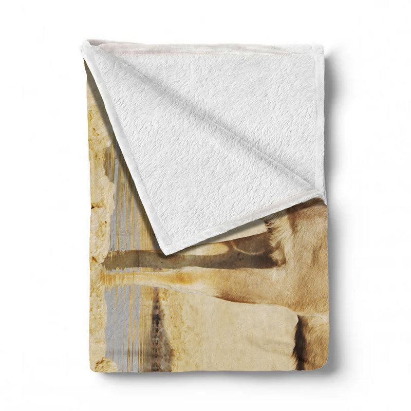Kudu Bull Light Weight Fleece Blanket By Annette Heymans