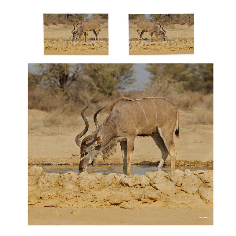 Kudu Bull at Waterhole Duvet Cover Set by Annette Heymans