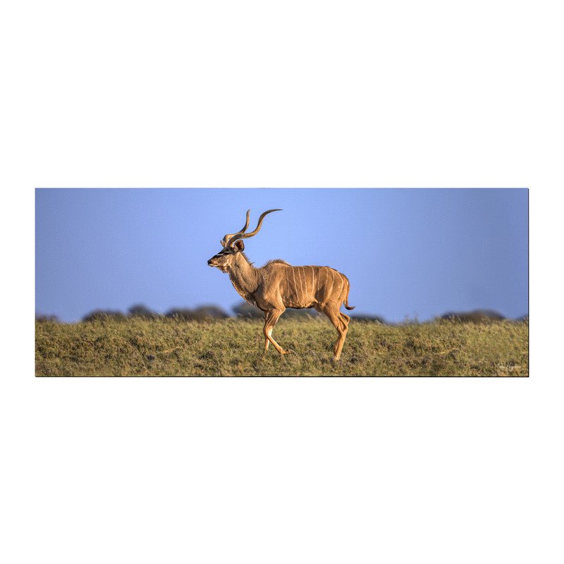 Kudu Bull Kalahari Desk Pad by Fanie Heymans