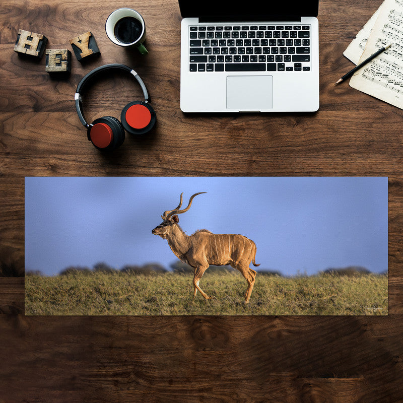 Kudu Bull Kalahari Desk Pad by Fanie Heymans