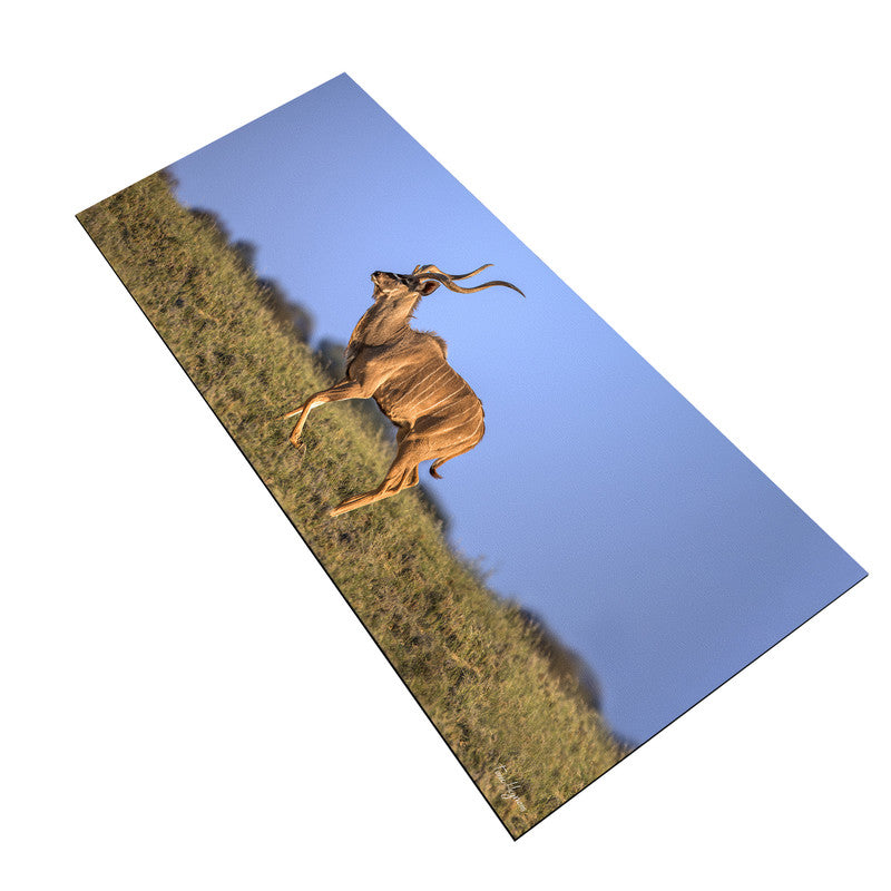 Kudu Bull Kalahari Large Desk Pad by Fanie Heymans