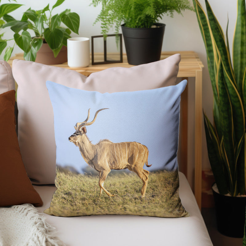 Kudu Bull Kalahari Luxury Scatter by Fanie Heymans