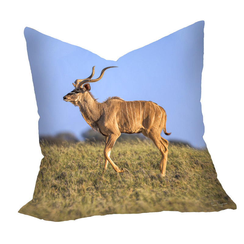 Kudu Bull Kalahari Luxury Scatter by Fanie Heymans